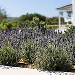 Plaka Naxos - Matina Sofia Holiday home *