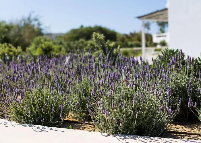 Plaka Naxos - Matina Sofia Casa vacanze *